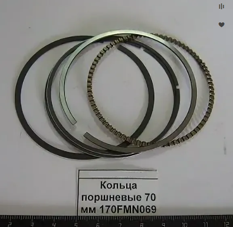 Поршневые кольца в сборе 170FMN069