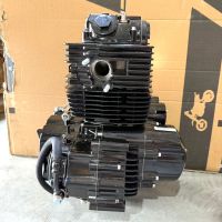 Двигатель 170FMN 300 сс (RC300-GY8 Ranger, RC300-GY8X Panther)  Y0329