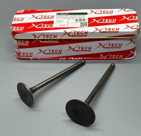 Клапаны ГРМ 172FMM-5(PR250) ZS175FMM (PR300) X-TECH