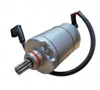 Стартер в сборе (RC250GY-C2K)  166FMM266CH K2, RC250CK-A Triumph
