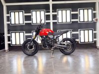 Мотоцикл Regulmoto FARGO 300 (красный )