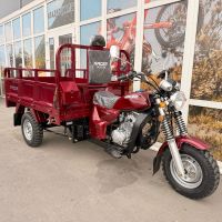 Трицикл RACER RC250ZH MURAVEI