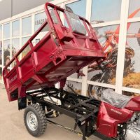 Трицикл RACER RC250ZH MURAVEI
