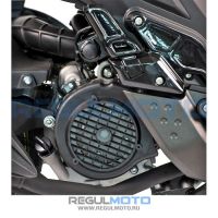 Скутер Regulmoto BWX (LJ-3) 175 c ПТС черный