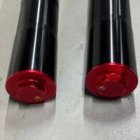 3 Амортизаторы передние (компл.) TTR125 (L=750mm, d48×48mm) (ось=15mm) черные